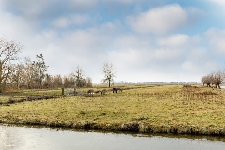 Foto 51 van Warder 121