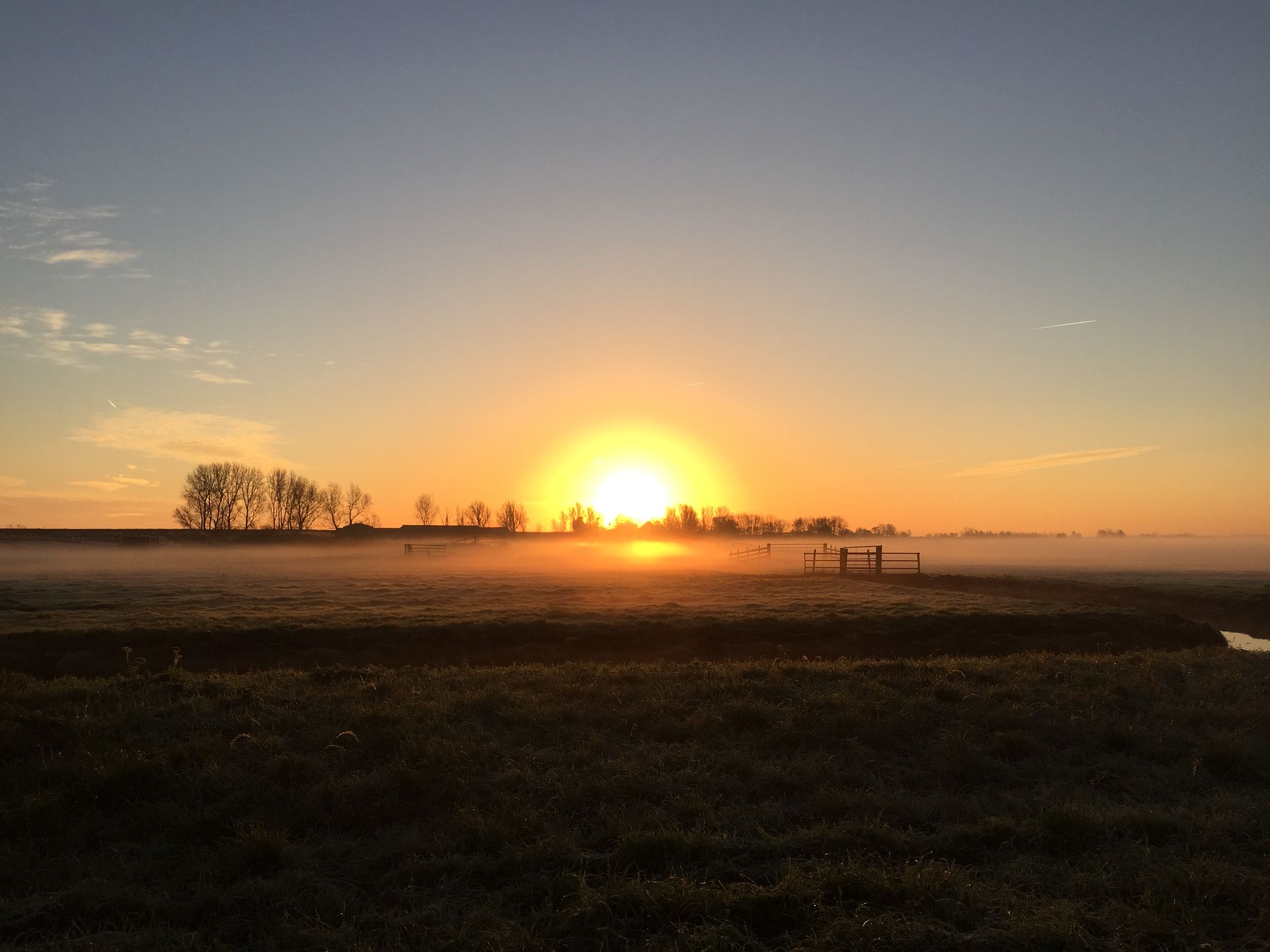 Foto 54 van Warder 121