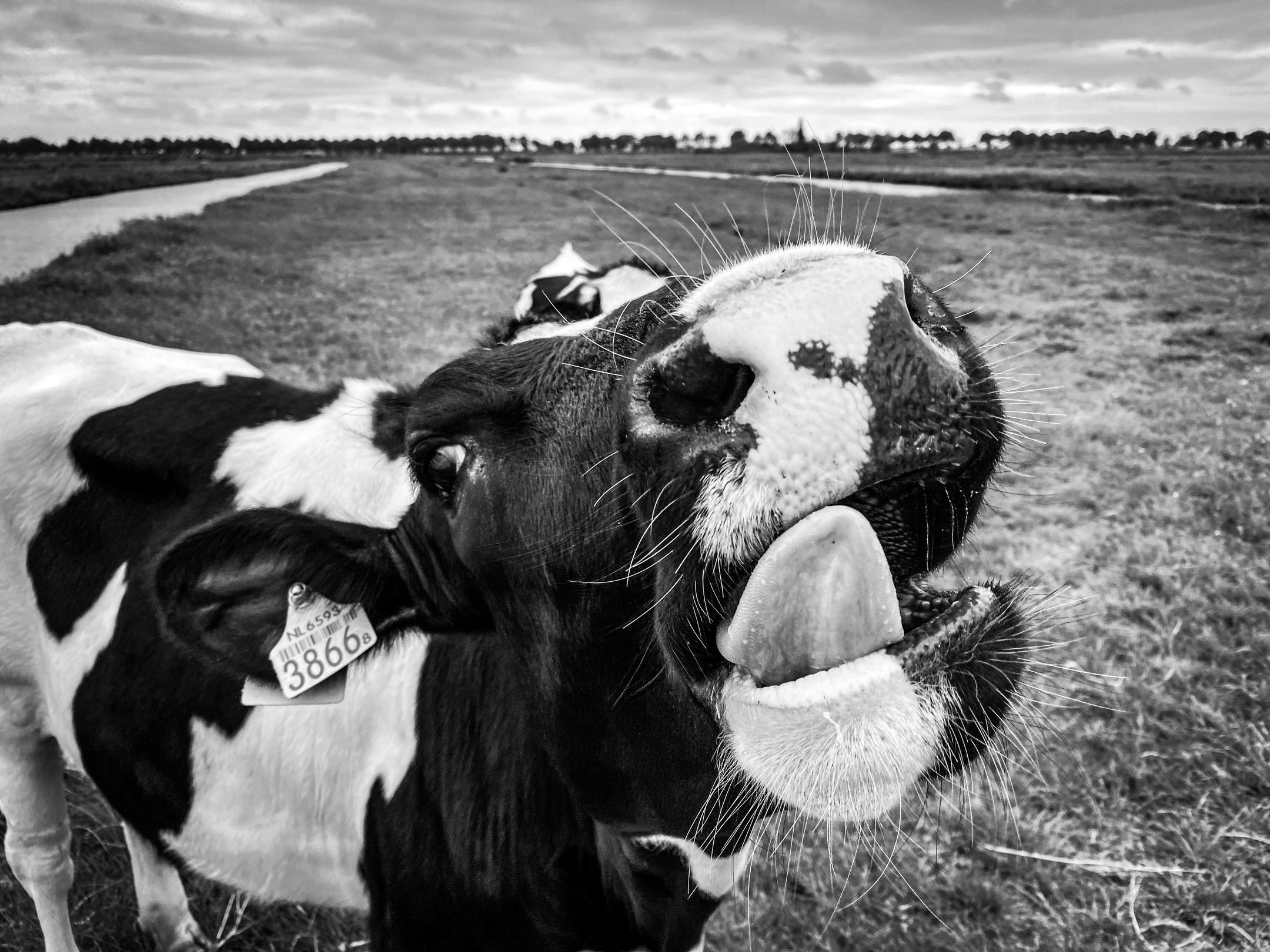 Foto 57 van Warder 121