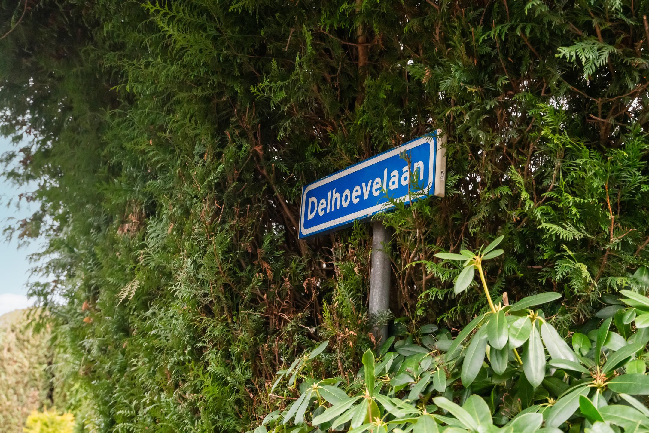 Foto 6 van Delhoevelaan 20