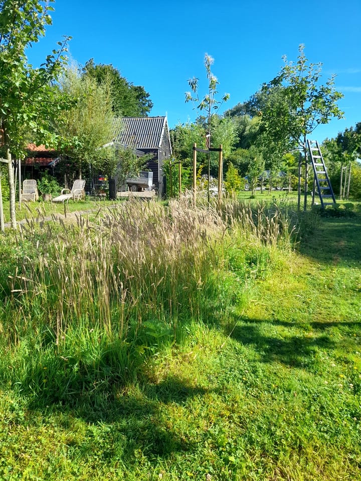 Foto 9 van Bakendorpseweg 15