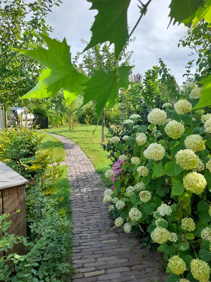 Foto 10 van Bakendorpseweg 15