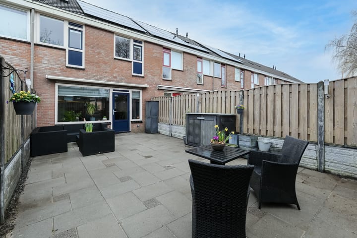 Foto 5 van Hondsdrafzoom 2