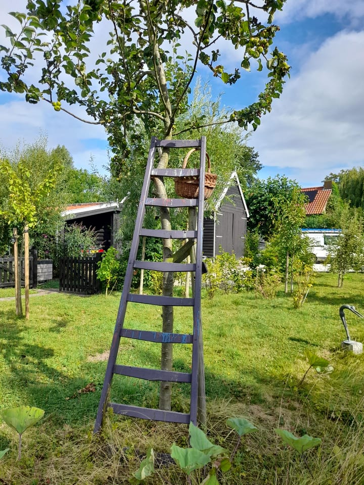 Foto 11 van Bakendorpseweg 15