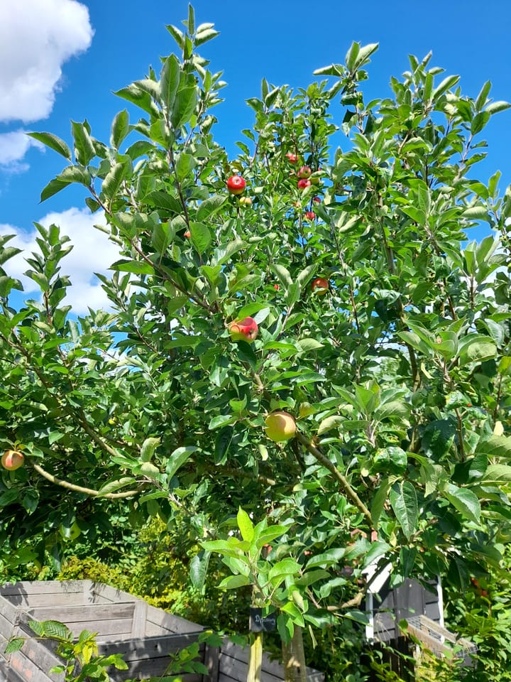 Foto 12 van Bakendorpseweg 15