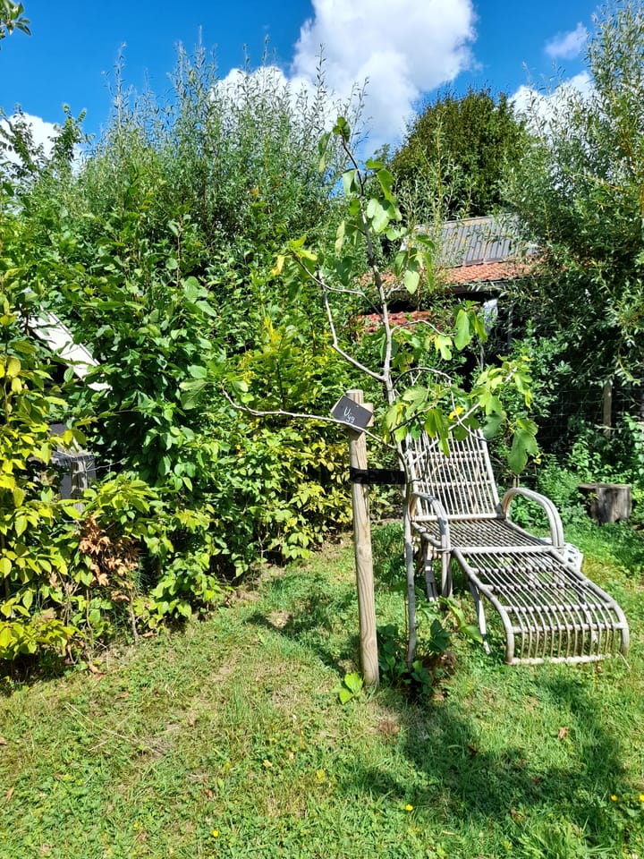 Foto 13 van Bakendorpseweg 15