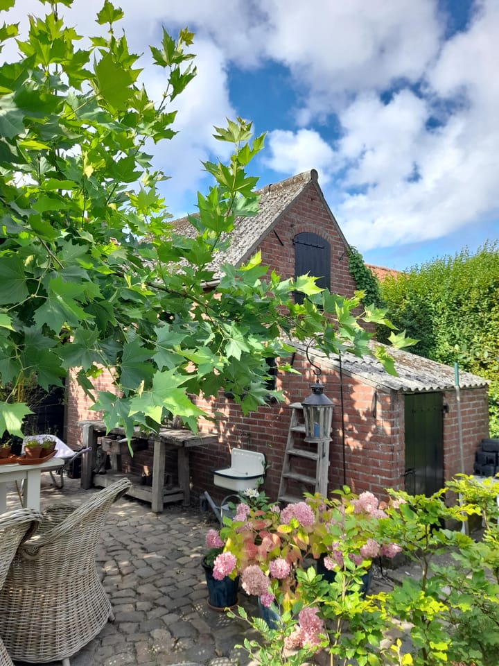 Foto 16 van Bakendorpseweg 15