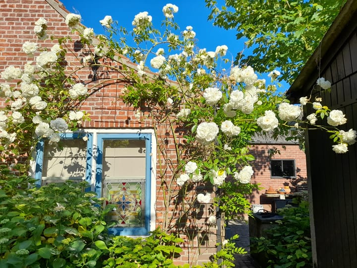 Foto 17 van Bakendorpseweg 15