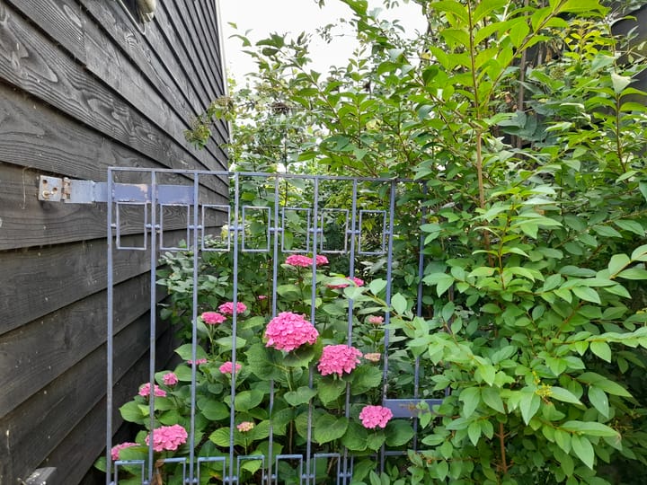 Foto 20 van Bakendorpseweg 15