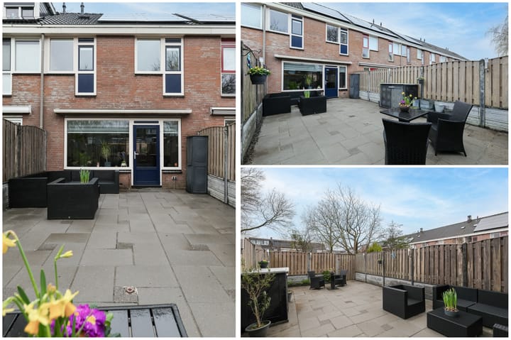 Foto 30 van Hondsdrafzoom 2