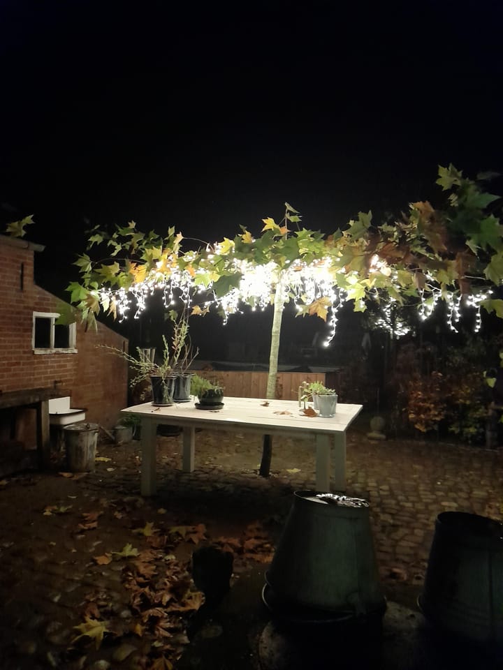 Foto 38 van Bakendorpseweg 15