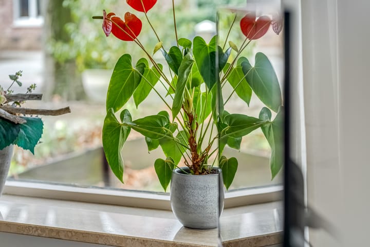 Foto 21 van Vleumingen 20