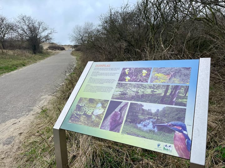 Foto 50 van Verdistraat 15