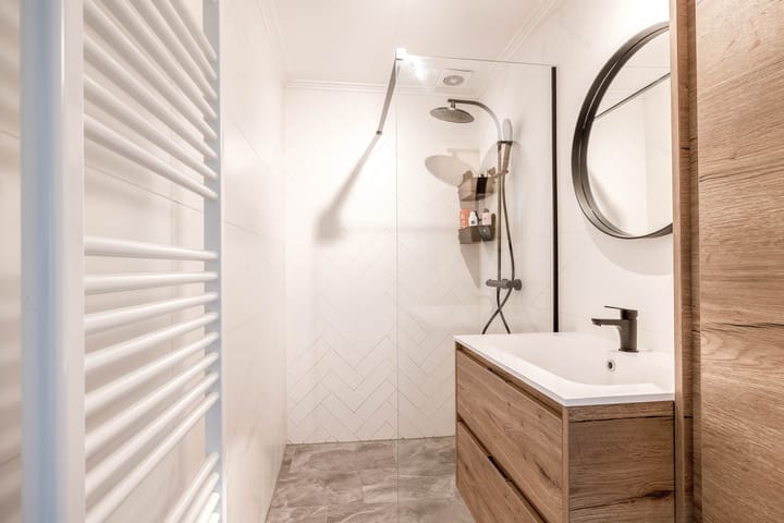 Foto 4 van Plutolaan 517