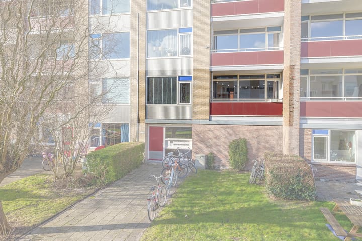 Foto 6 van Plutolaan 517