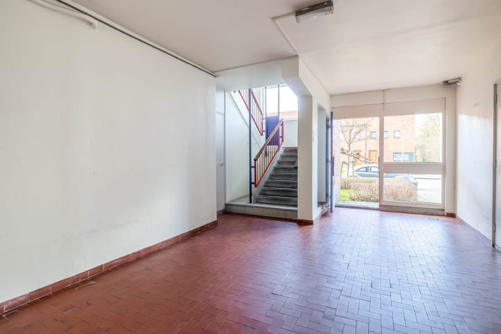 Foto 8 van Plutolaan 517