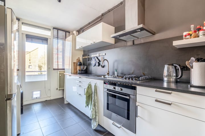 Foto 18 van Plutolaan 517