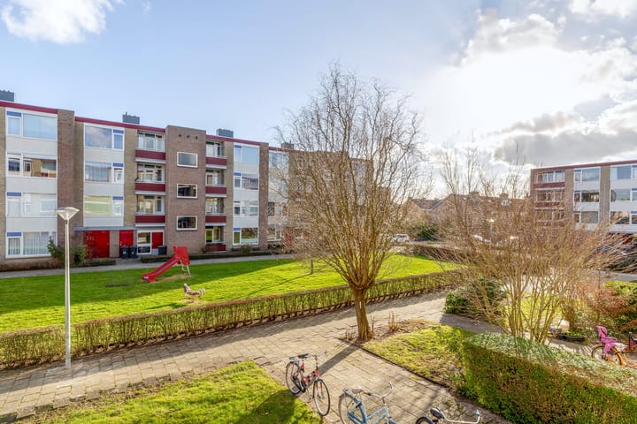 Foto 31 van Plutolaan 517