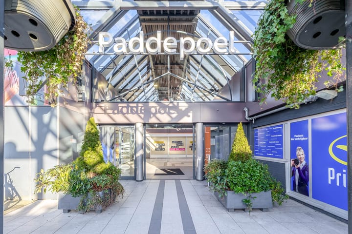 Foto 34 van Plutolaan 517