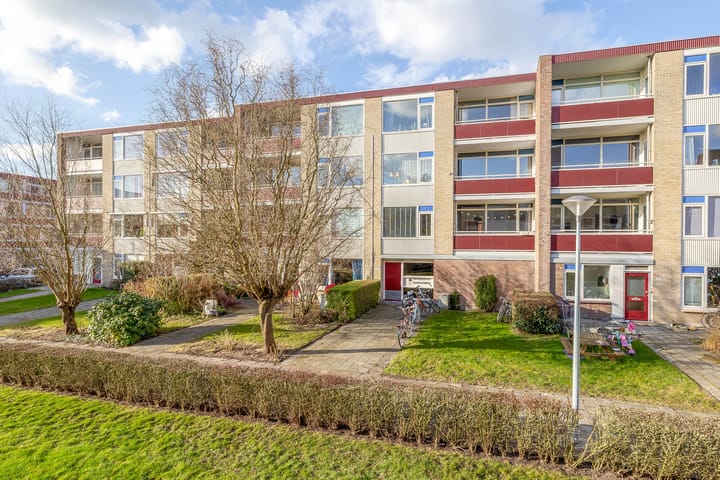 Foto 39 van Plutolaan 517