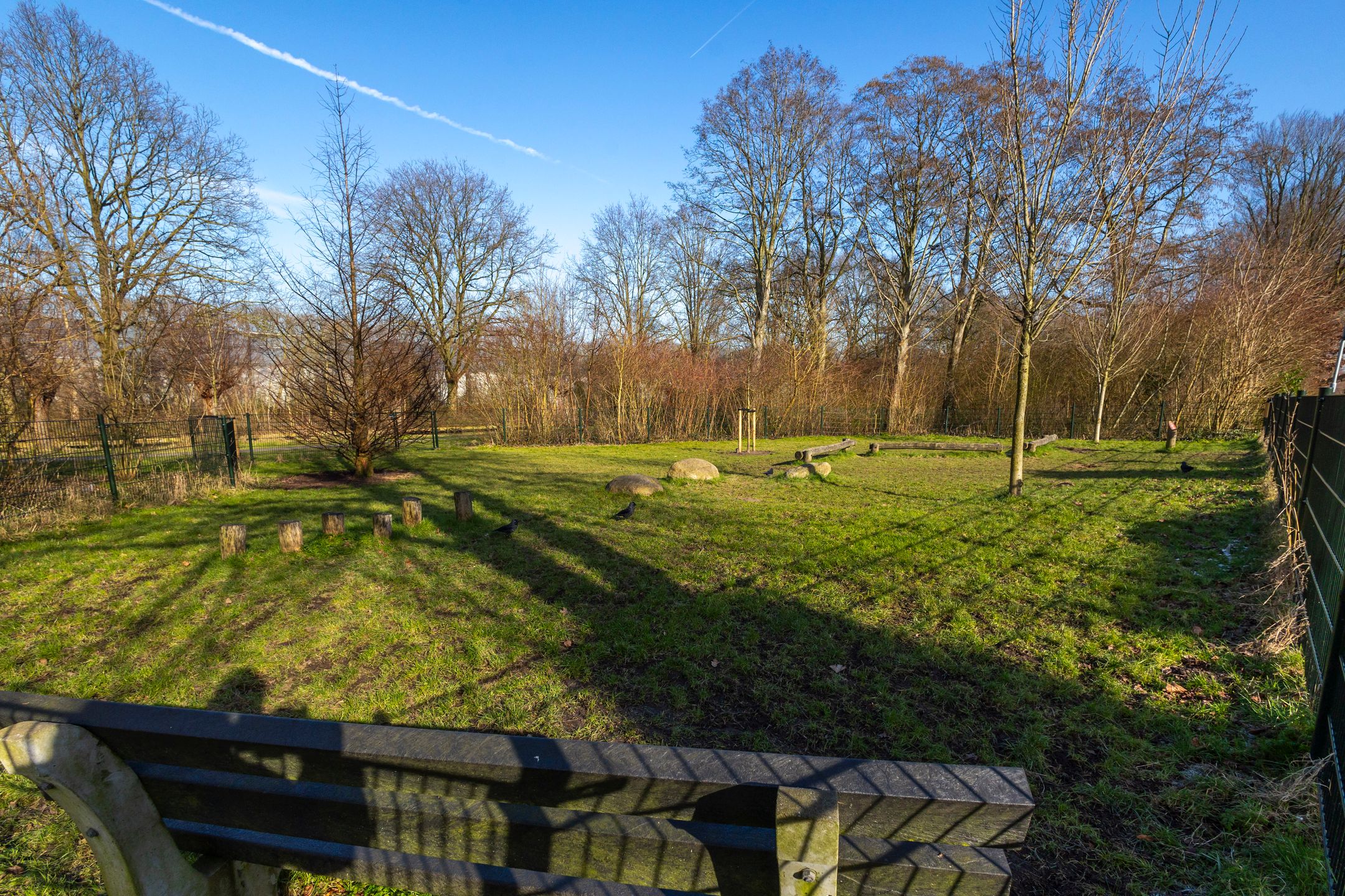 Foto 3 van Reinenweer 23