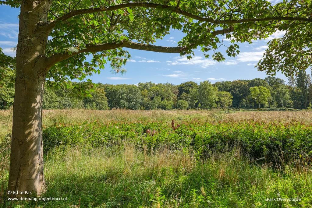 Foto 38 van Sir Winston Churchillln 370-F302