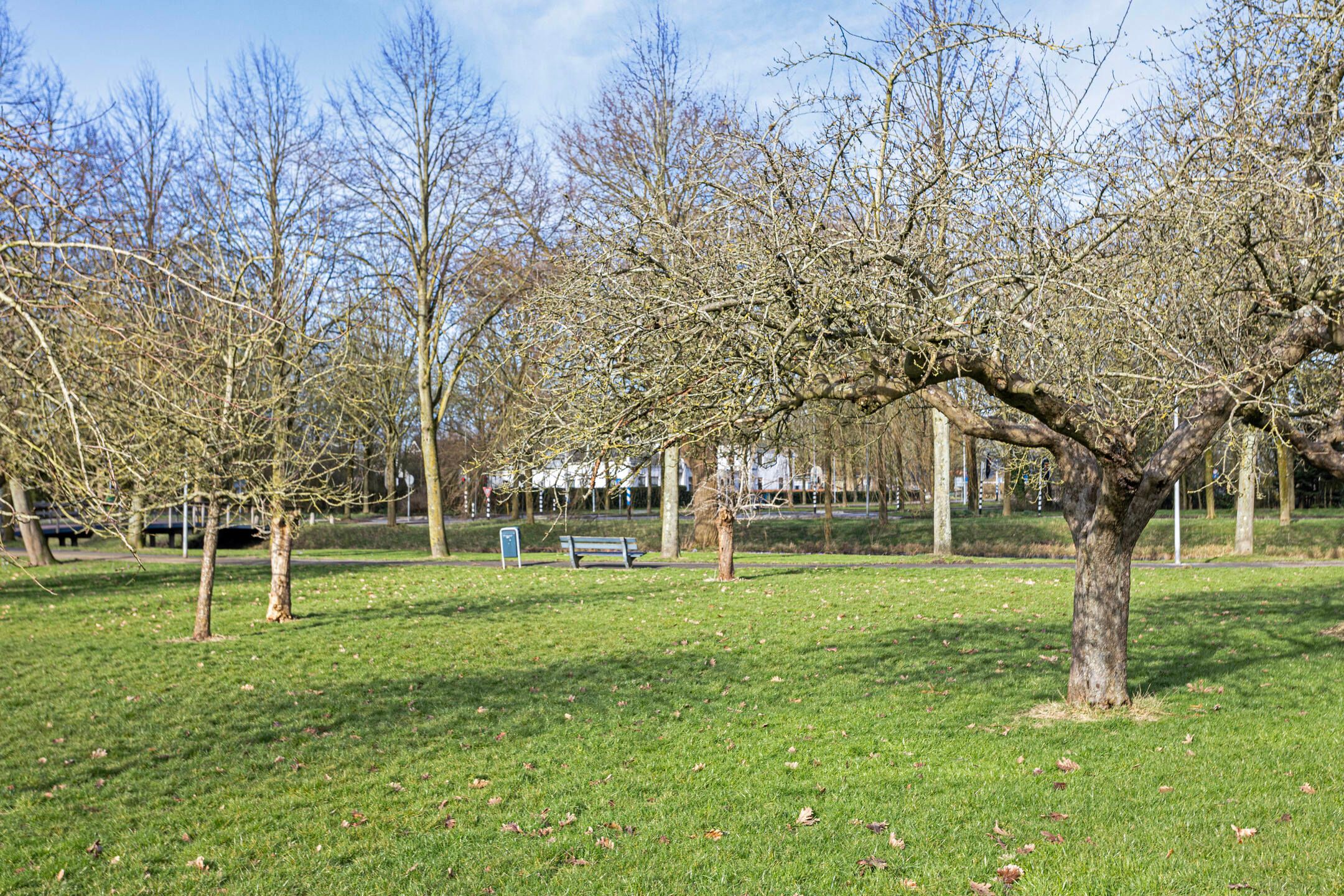 Foto 39 van Nachtegaal 95