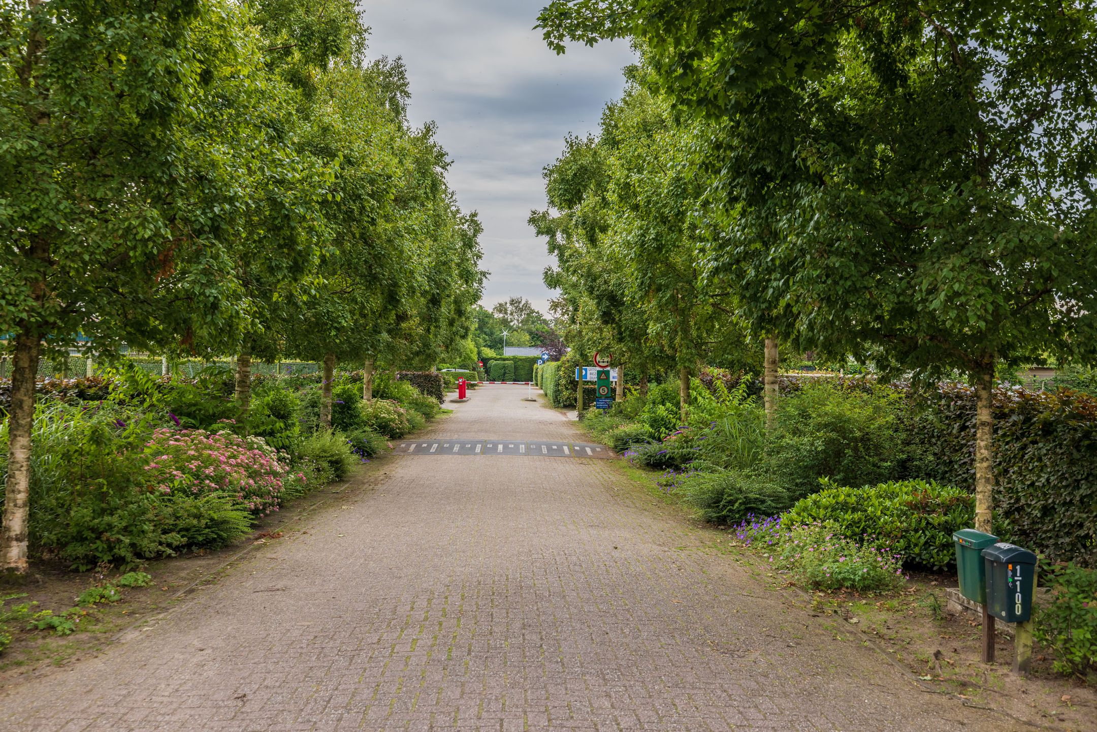 Foto 21 van Duinhorst 87