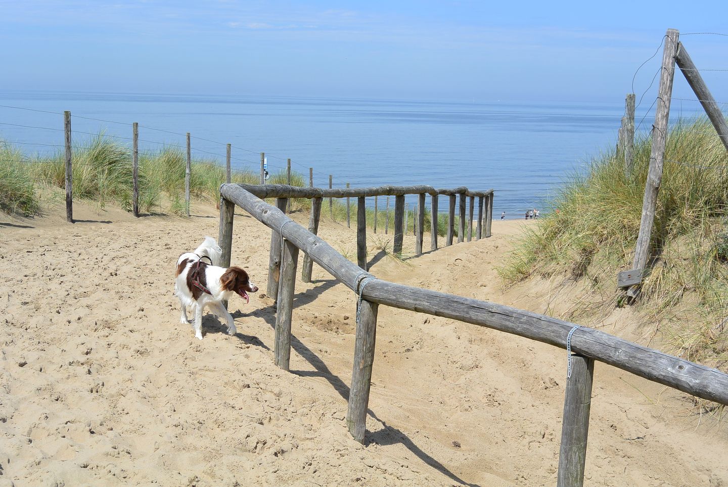 Foto 25 van Duinhorst 87