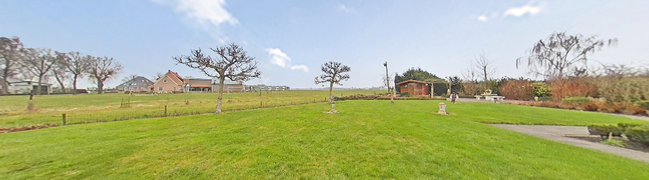 Achtertuin