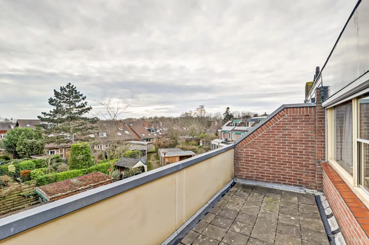 Foto 34 van Hagedisweide 56