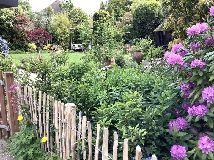 Foto 2 van W. Denijslaan 15