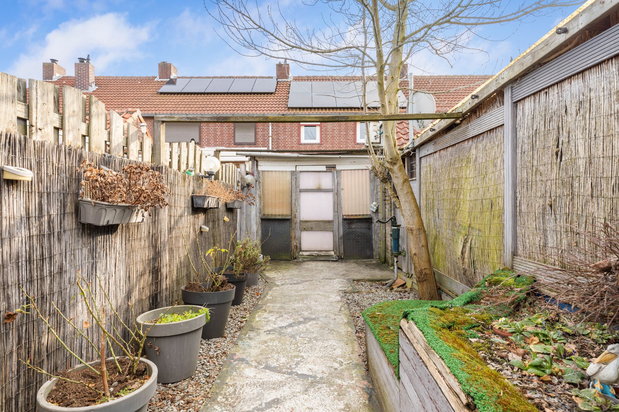 Foto 24 van Schaepmanstraat 23