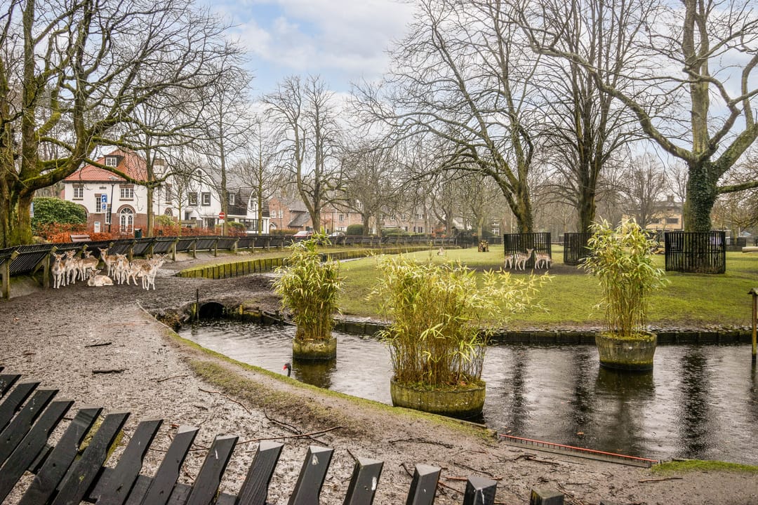 Foto 26 van Dokter van Peltlaan 10-A