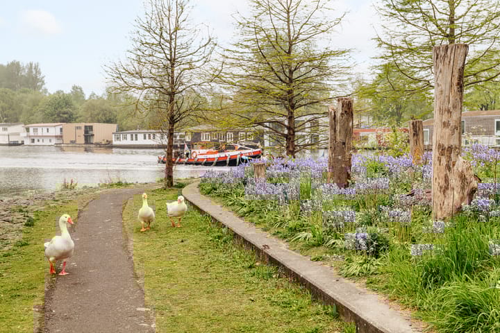 Photo 29 of Sassenheimstraat 44-H