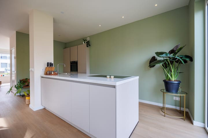 Foto 20 van Jan Willem Passtraat 14