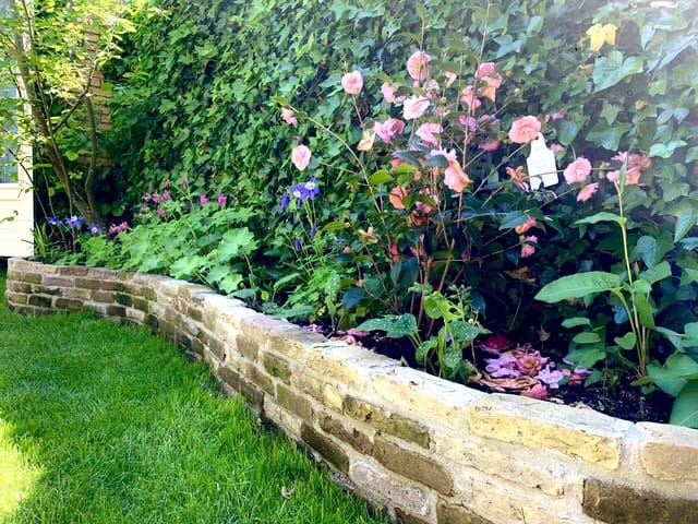 Foto 38 van Pijlemeeth 31