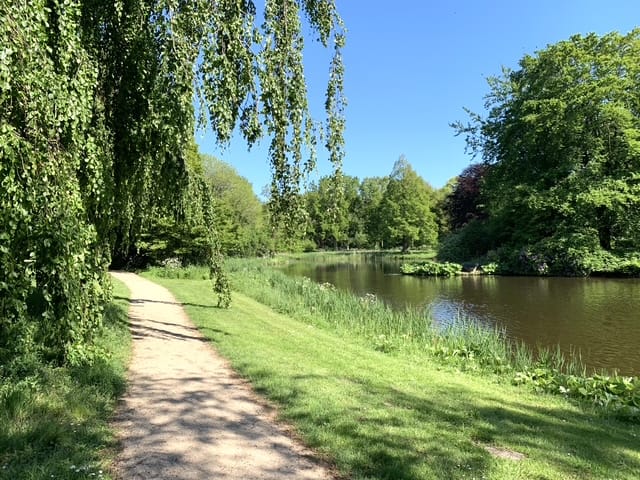 Foto 41 van Pijlemeeth 31