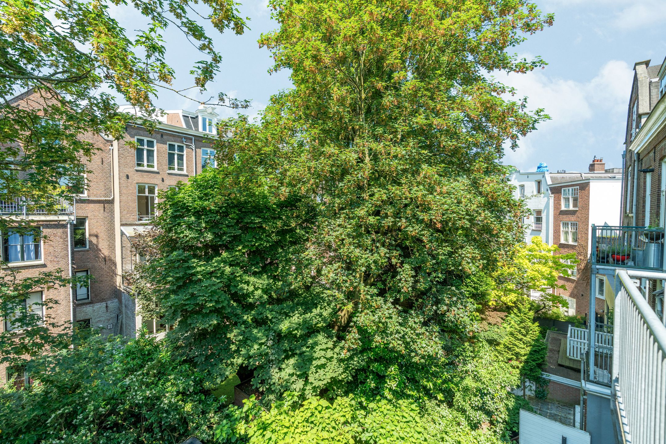 Foto 24 van Spinozastraat 31-2