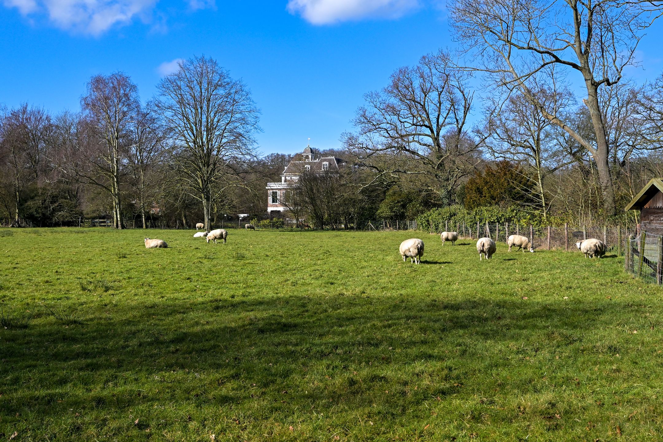 Foto 27 van Ary Schefferstraat 227