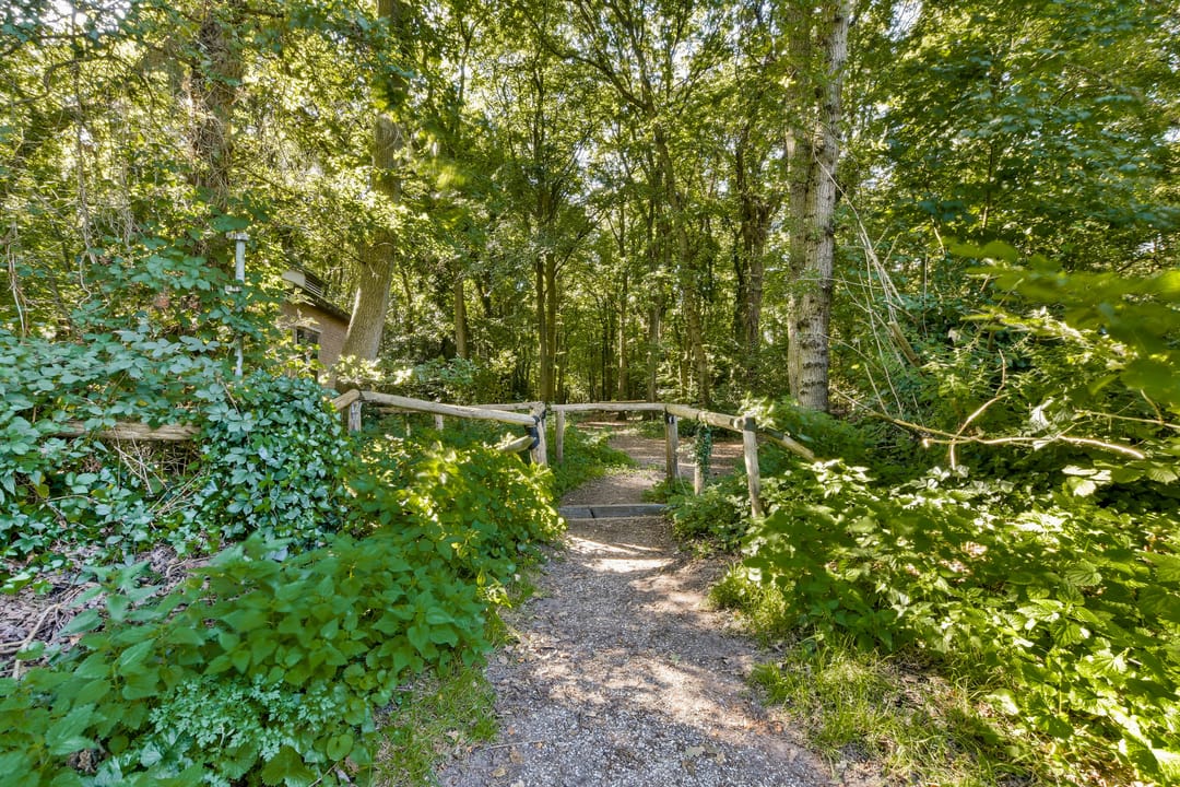 Foto 31 van Dokter van Peltlaan 10-A