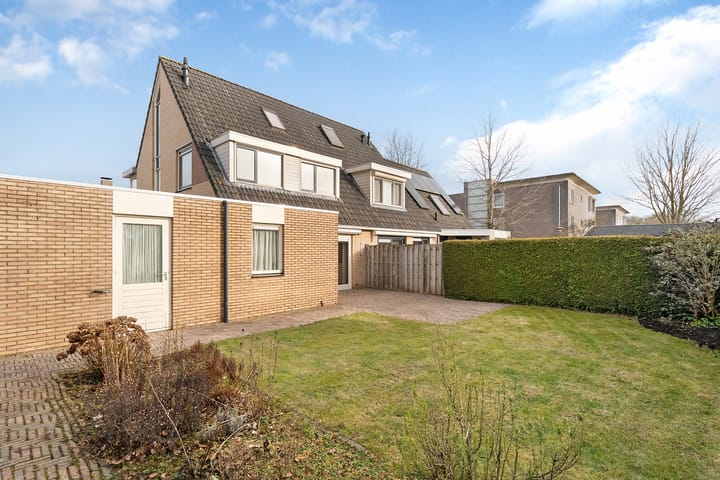 Foto 2 van Hondsroos 36