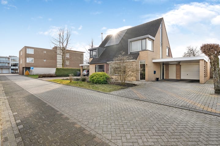 Foto 3 van Hondsroos 36