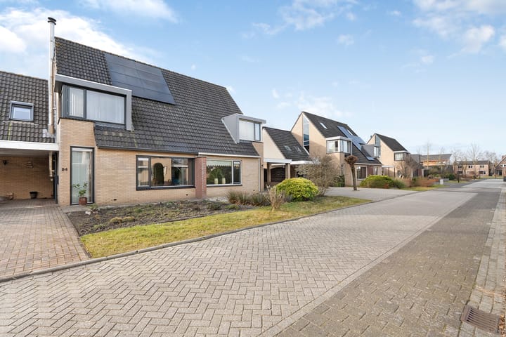 Foto 5 van Hondsroos 36