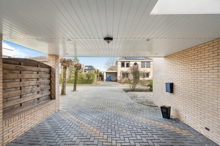 Foto 7 van Hondsroos 36