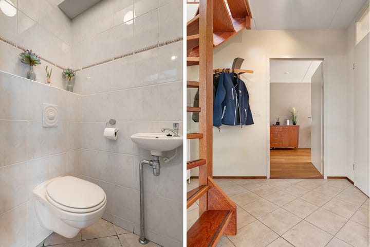 Foto 9 van Hondsroos 36