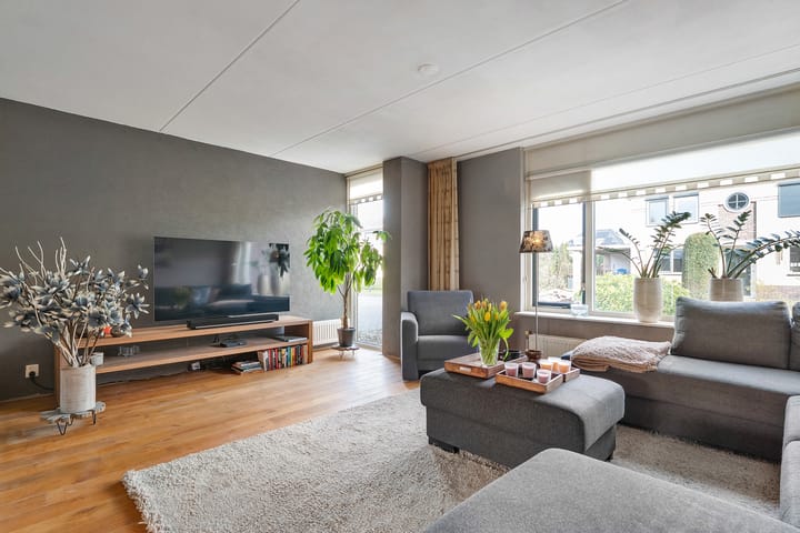 Foto 10 van Hondsroos 36