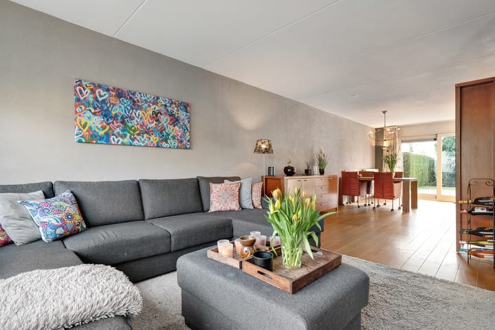 Foto 12 van Hondsroos 36