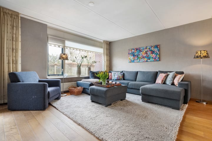 Foto 13 van Hondsroos 36