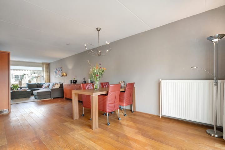 Foto 14 van Hondsroos 36